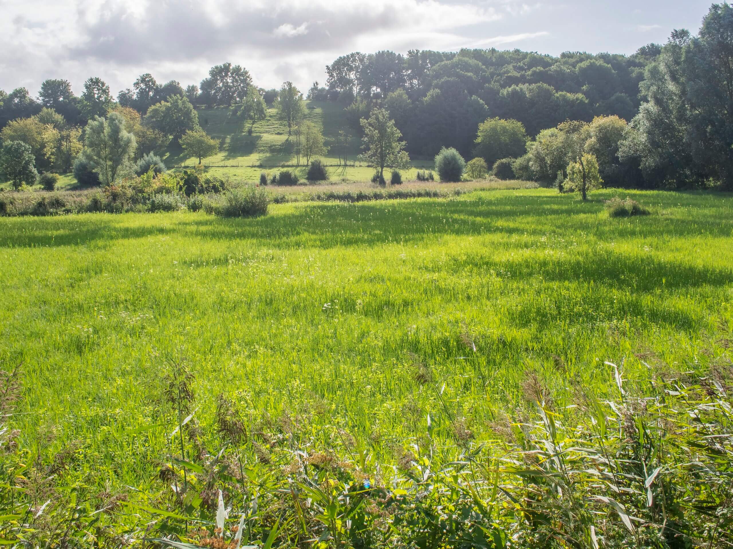 Wandelen in Haspengouw - Toerisme Sint-Truiden